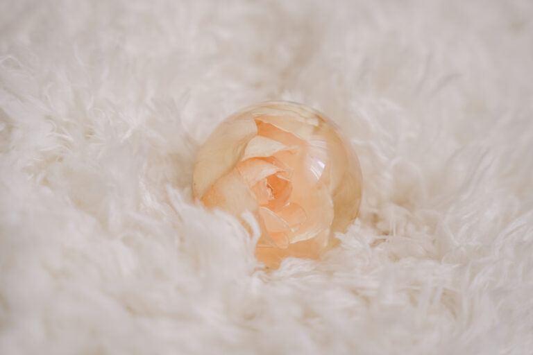 Eine transparente Kunstharzkugel mit einer konservierten pfirsichfarbenen Rose im Inneren, eingebettet in weichem, weißem Fellstoff. Die zarten Blütenblätter der Rose schimmern in sanften Apricot- und Cremetönen durch das klare Harz. Die kugelförmige Konservierung liegt in einer flauschigen, weißen Textur, die einen weichen, luxuriösen Hintergrund bildet und mit der Transparenz und Glätte der Harzkugel kontrastiert. Diese Art der Blumenkonservierung dient als elegantes Erinnerungsstück, um besondere Momente wie Hochzeiten oder besondere Anlässe dauerhaft zu bewahren.